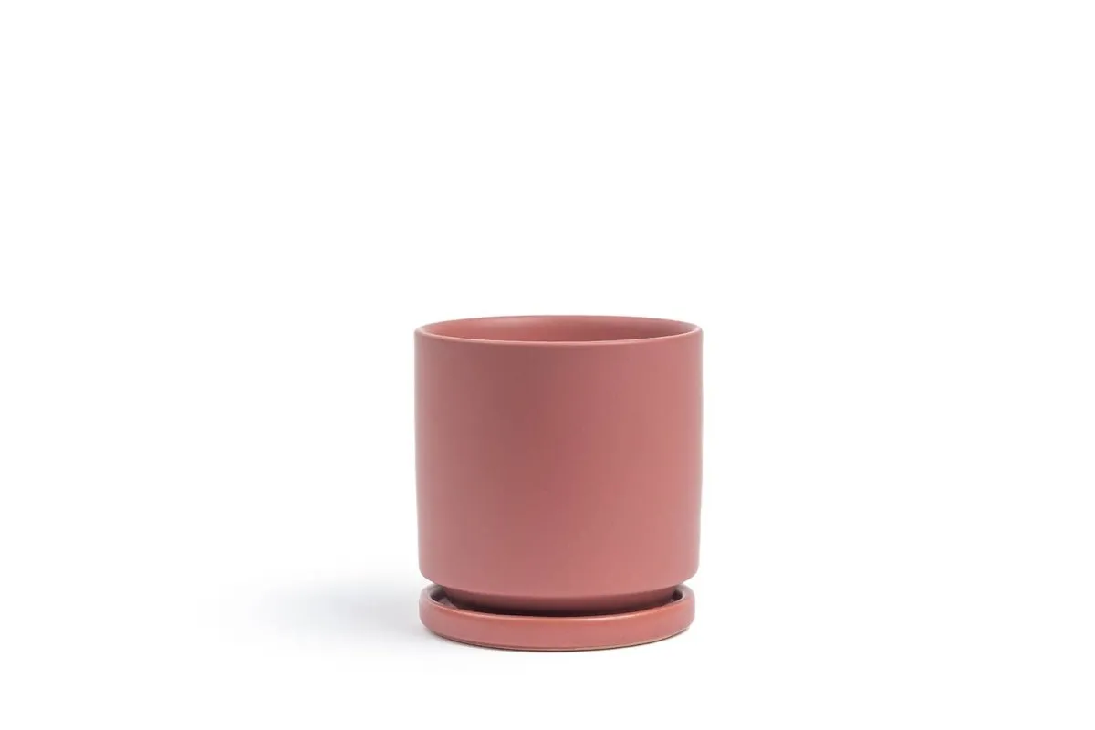 Gemstone Porcelain Planter Pot with Water Saucer 10.5 Inch